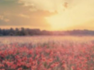 UI 手机界面（个人主页-ZMTU0NzE0NjQ=） - APP界面 - 站酷设计师颜陌筱芸原创素材 - 站酷ZCOOL