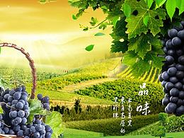 葡萄详情页