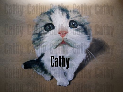 手绘作品—【大学时期】