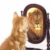 玩腻的猫腻的头像