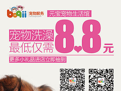 宠物七八月份的线下DM单（个人主页-ZMTc3Mjg2NDA=） - 宣传物料 - 站酷设计师mayidefei原创素材 - 站酷ZCOOL