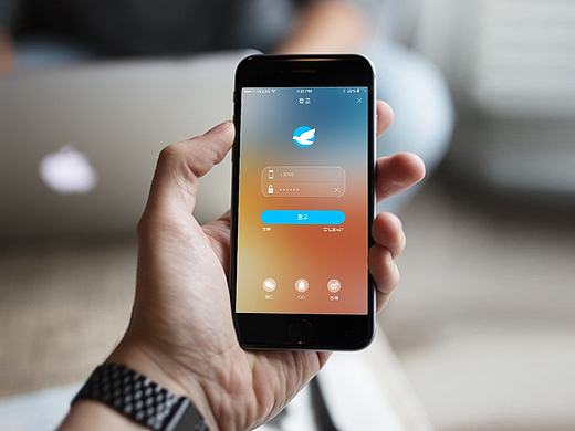 白鸽基金APP展示