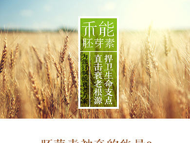 胚芽素 胚芽素 信息图 长图 保健品