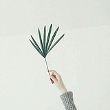 小胖子糖糖的头像