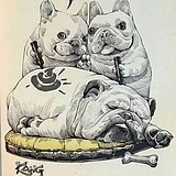 用户头像