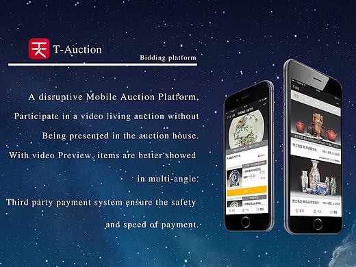 天天易拍自适应拍卖官网