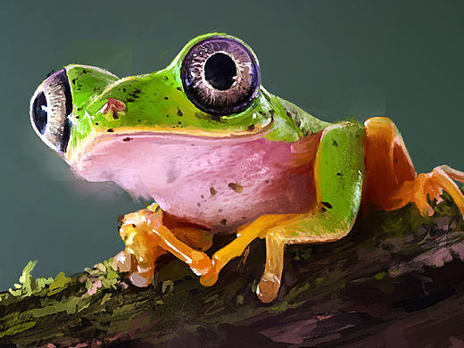 小青蛙（个人主页-ZMTk5OTkxOTY=） - 商业插画 - 站酷设计师吃鱼的杏子原创素材 - 站酷ZCOOL