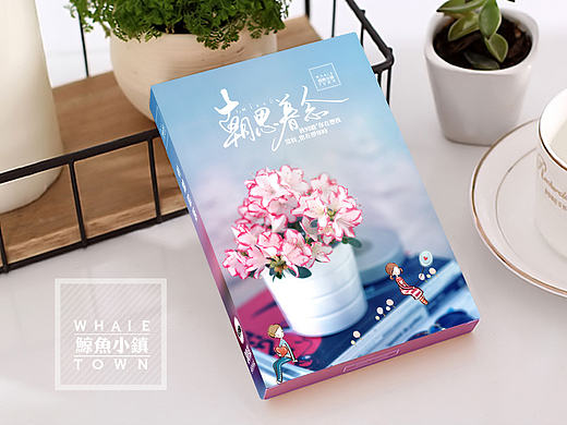 明信片包装设计