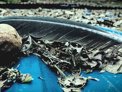 手机拍摄实验（个人主页-ZMzk4MTY3MTI=） - 人文/纪实摄影 - 站酷设计师ZAPEX98原创素材 - 站酷ZCOOL