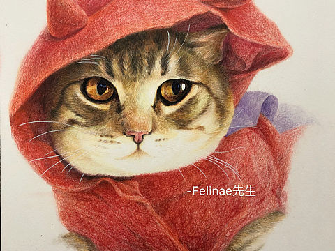 彩铅猫里的猫（个人主页-ZMjc4MDQ5NDA=） - 绘画 - 站酷设计师Felinae先生原创素材 - 站酷ZCOOL