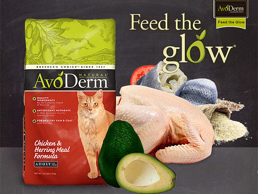 Avoderm宠物食品猫粮详情页