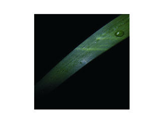 谷水之间（个人主页-ZNjIzMjYyNA==） - 书籍/画册 - 站酷设计师lo浅夏原创素材 - 站酷ZCOOL