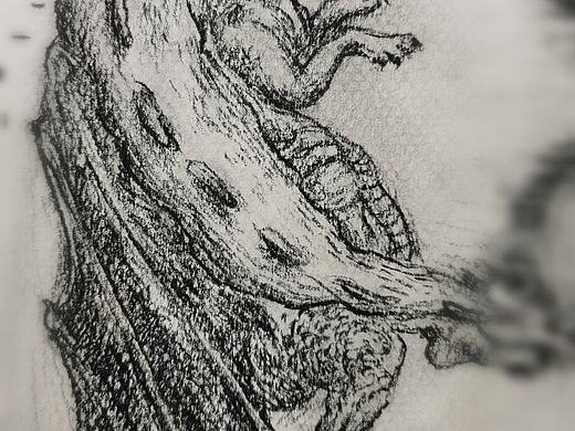 枕着龙骨开心的小龙