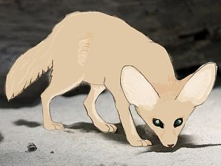 临摹大耳狐