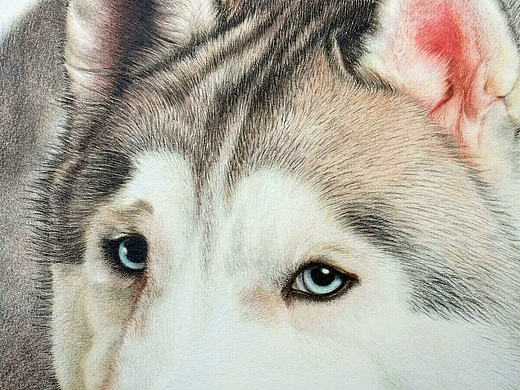 我不知将去向哪里，但我已在路上。——彩铅作业小结（个人主页-ZMTc3MzUyMzY=） - 绘画 - 站酷设计师林朵云原创素材 - 站酷ZCOOL