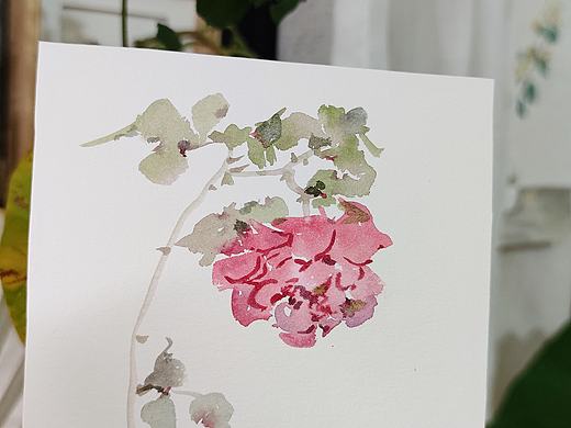 一生热爱
