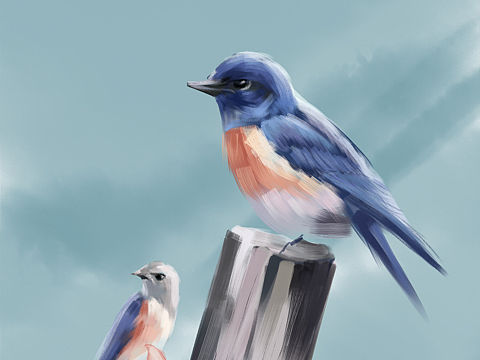 鸟（个人主页-ZNTA2MzQ5NjQ=） - 创作习作 - 站酷设计师L月亮的六便士原创素材 - 站酷ZCOOL