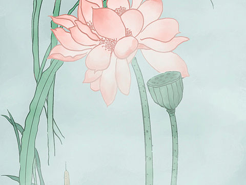 雾荷
