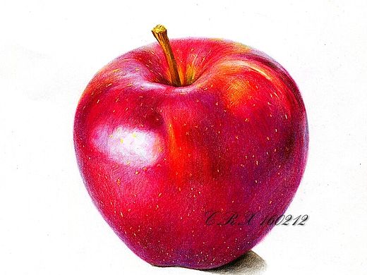 【彩铅水果】红苹果