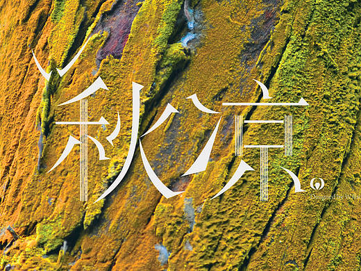 2016练字