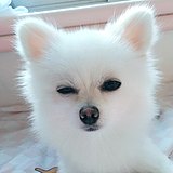 吾其其的头像