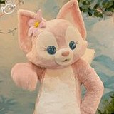 云边月的头像