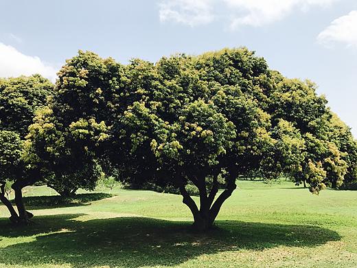 童学路拍@中山（个人主页-ZMjExNDE1ODQ=） - 风光摄影 - 站酷设计师童一酷原创素材 - 站酷ZCOOL