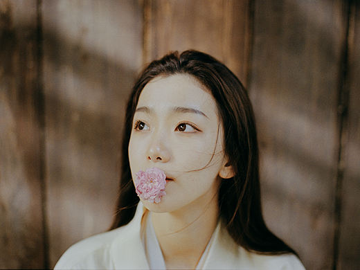 至暮时风起