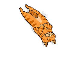 一些生活中的毛孩子