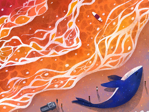 二月里的碎碎念