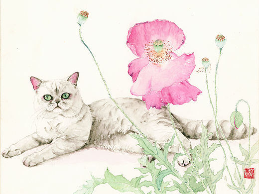 猫与花系列