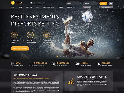 國外體育金融投資理財產品官網（個人主頁-ZMjExMzQ1NzY=） - 其他UI - 站酷設計師lsssg原創(chuàng)素材 - 站酷ZCOOL