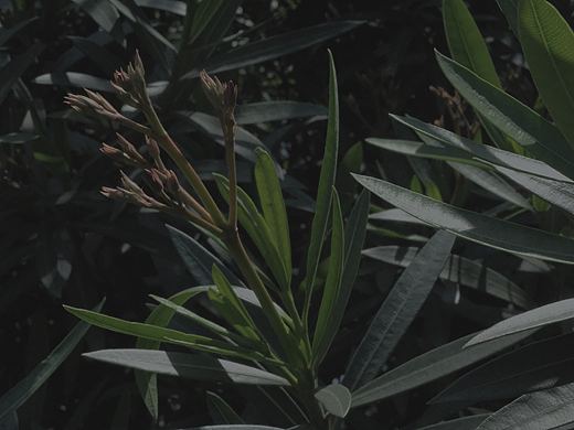 一些老圖（個人主頁-ZMzg1MTk5MDA=） - 產(chǎn)品攝影 - 站酷設(shè)計師樂小咩原創(chuàng)素材 - 站酷ZCOOL