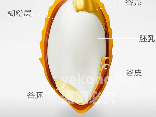 大米动画宣传片 后期包装
