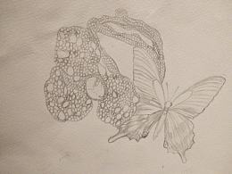 临摹YC老师作品