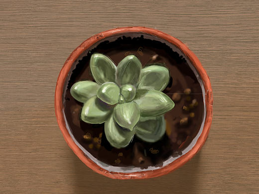 多肉写生（个人主页-ZMTU3OTQxNjg=） - 创作习作 - 站酷设计师ustbyng原创素材 - 站酷ZCOOL