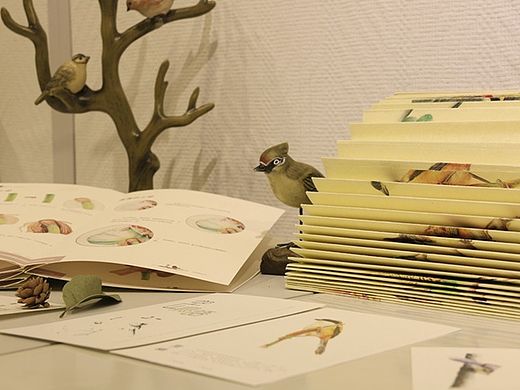 【毕业这件事】—千张成触 万张成师（个人主页-ZMTI3MDAyNzY=） - 书籍/画册 - 站酷设计师璐璐_L原创素材 - 站酷ZCOOL