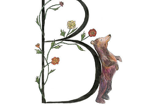 自然与字母的结合