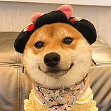 用户头像
