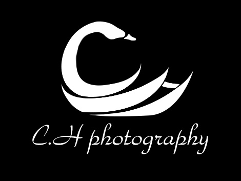 摄影师个人logo