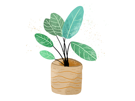 盆栽插画