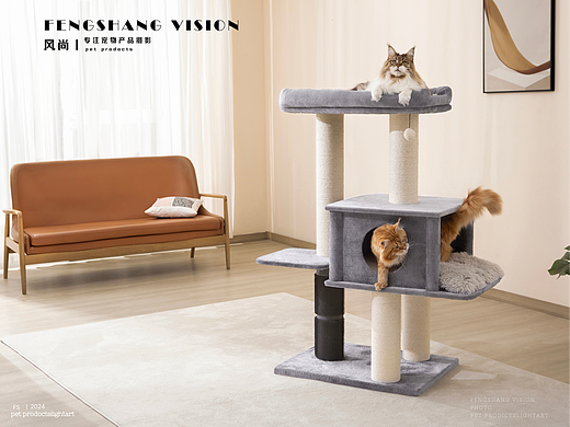 猫爬架视频拍摄丨宠物产品拍摄丨宠物用品摄影