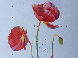 榴蓮cici的水彩日常