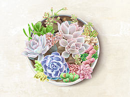 插画收藏