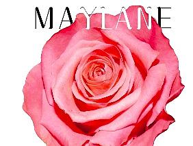 玫兰世家卡片及展架（个人主页-ZMjIzMzY3MTI=） - 宣传物料 - 站酷设计师蓁雨原创素材 - 站酷ZCOOL