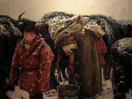 攝影紀(jì)實(shí)