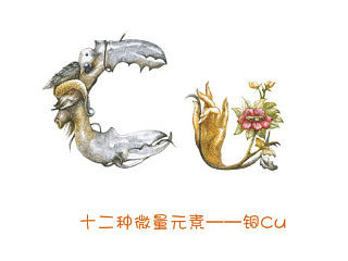 青稞 —— 字母版十二种微量元素
