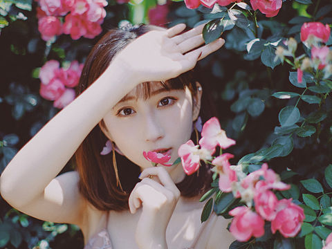蔷薇