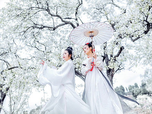 【蜀山桃梨愫】