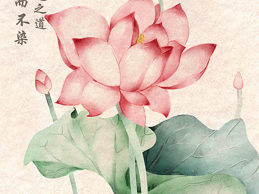 出淤泥而不染，（个人主页-ZNDc5ODc4NDA=） - 创作习作 - 站酷设计师胡萝卜须Hzf原创素材 - 站酷ZCOOL